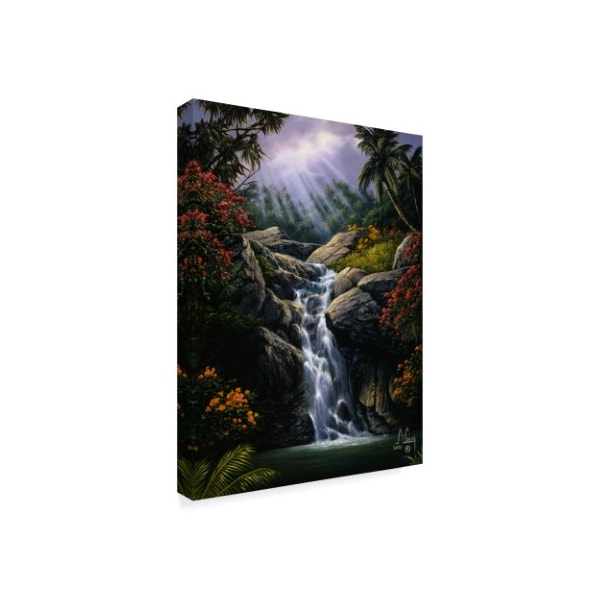 Anthony Casay 'Waterfall 2' Canvas Art,14x19